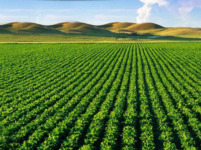 AGRICULTURAL MARKET WORTH $2.48 BILLION BY 2022